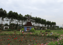 郫县妈妈农庄拓展培训基地